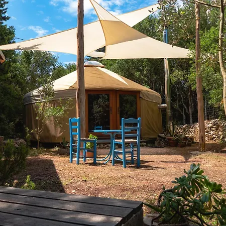豪华帐篷 Forest Yurt