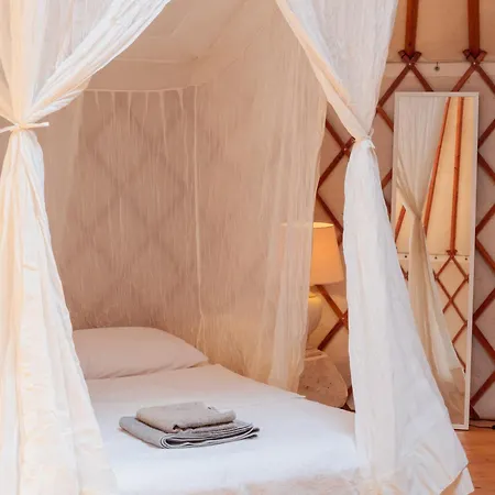 Forest Yurt ليكسوري